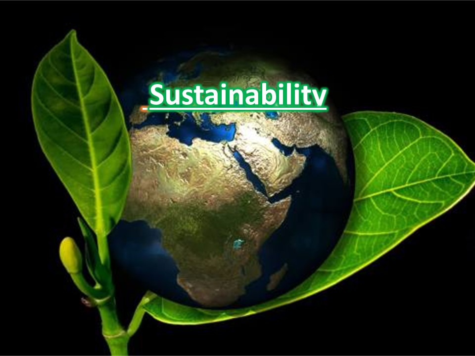 Eco-friendly & Sustainability