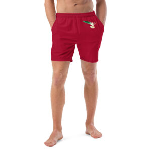 Swim Trunks