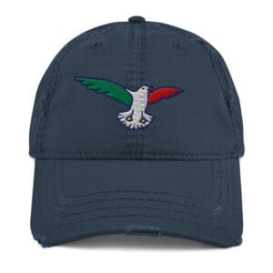 Distressed Dad Hat