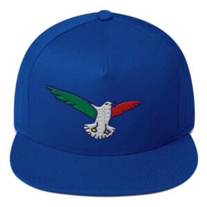 Flat Bill Hat