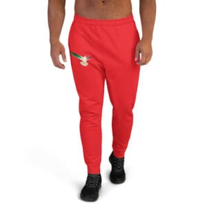 Joggers for Men
