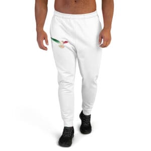 Joggers for Men
