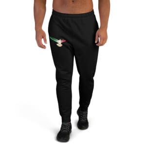 Joggers for Men