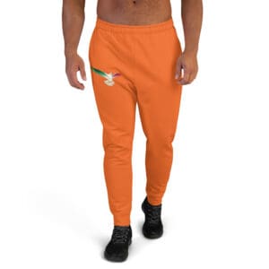 Joggers for Men