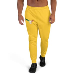 Joggers for Men