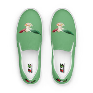 Women’s Slip-Ons