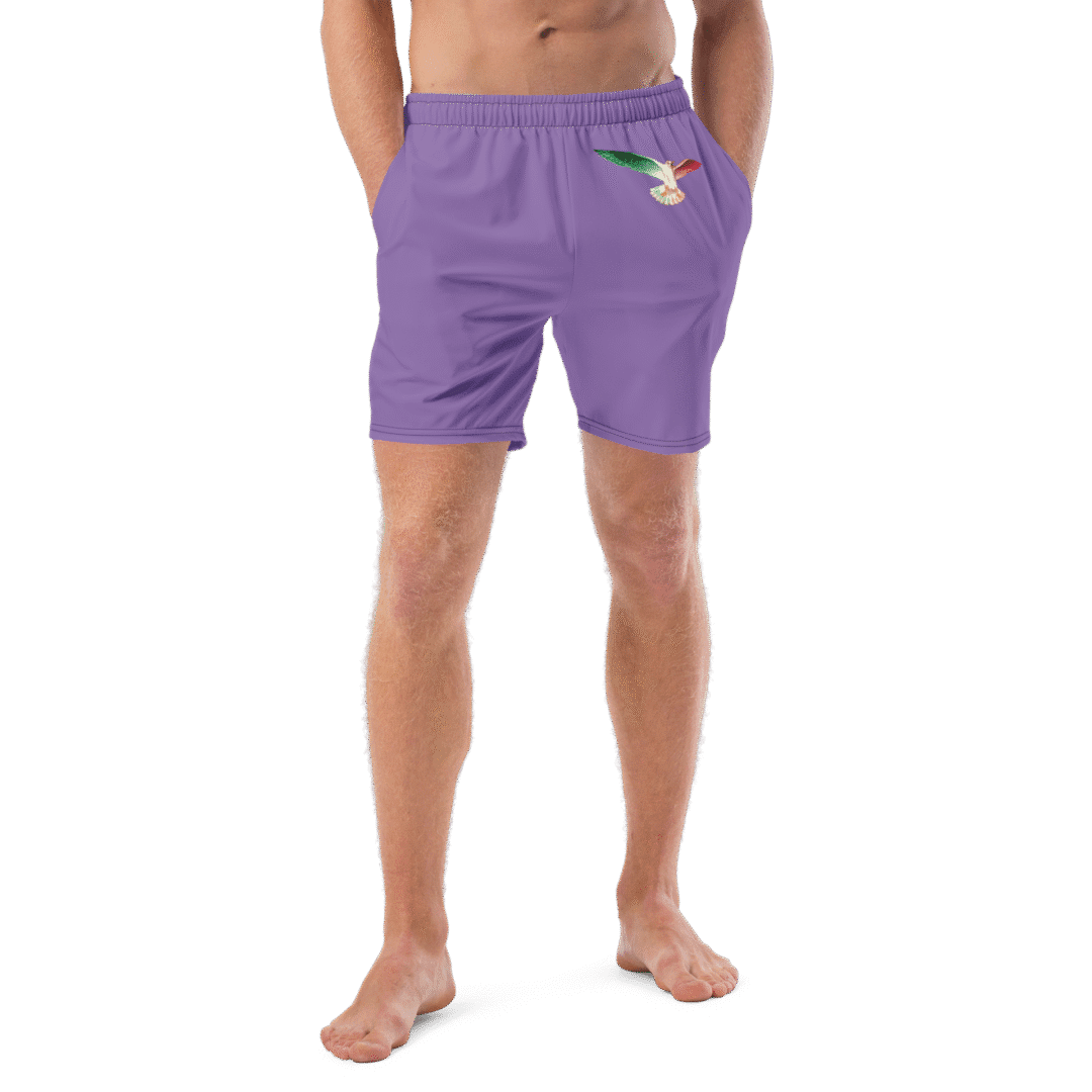 Swim Trunks