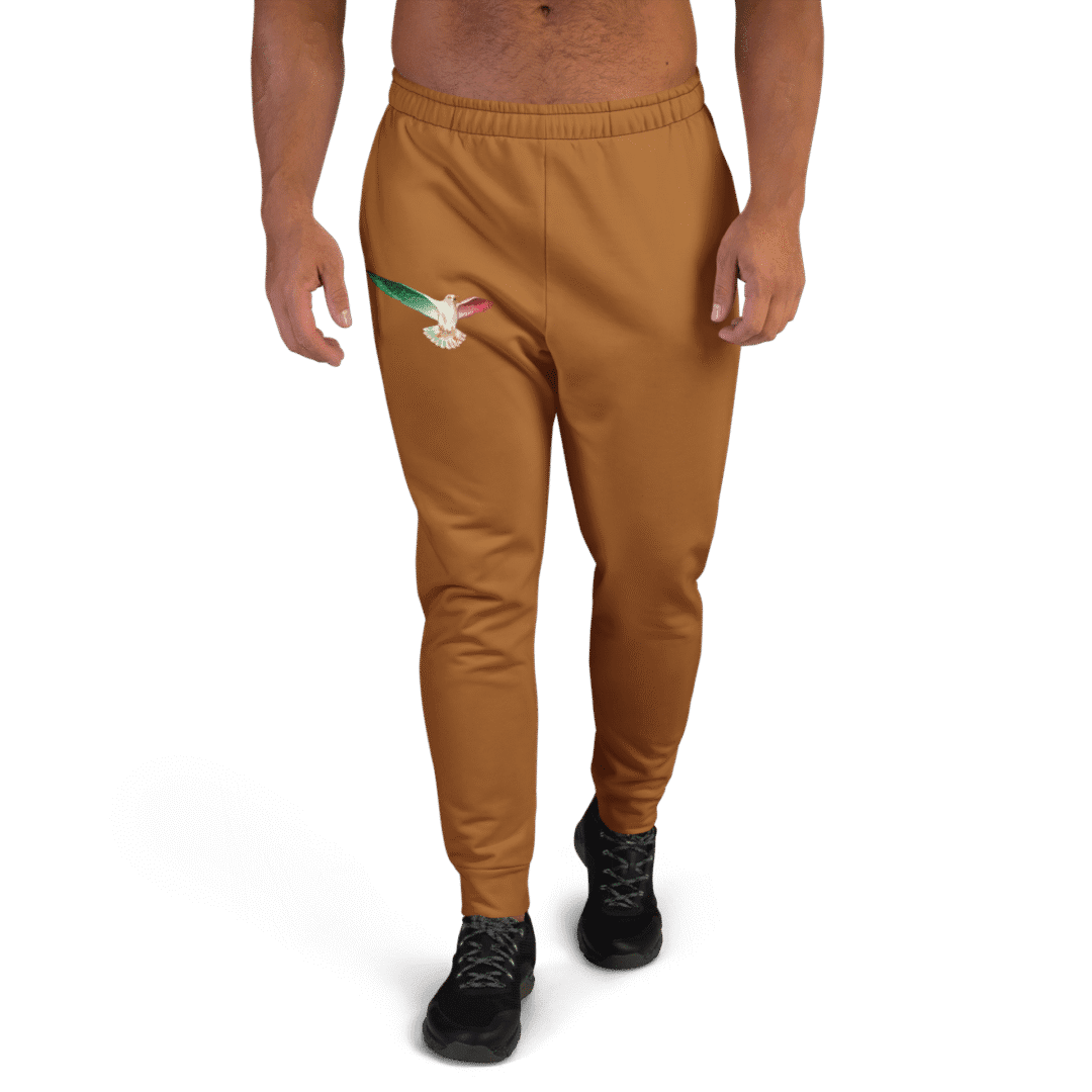 Joggers for Men