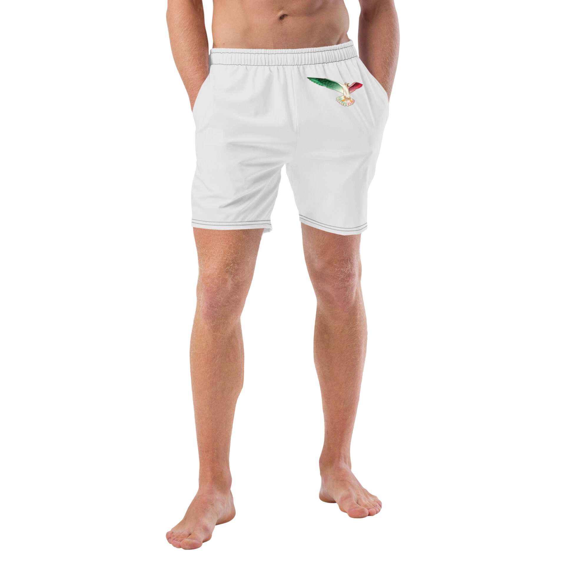 Swim Trunks