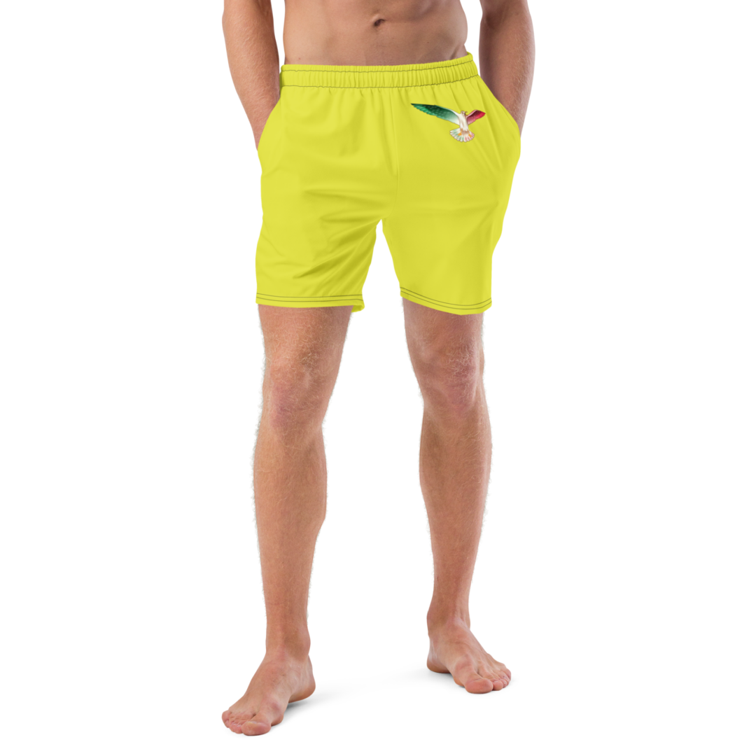 Swim Trunks