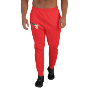 Joggers for Men