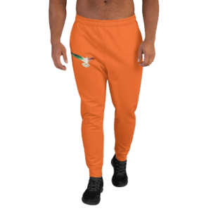 Joggers for Men