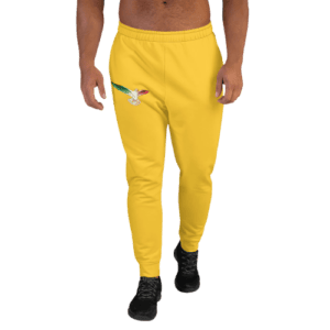 Joggers for Men